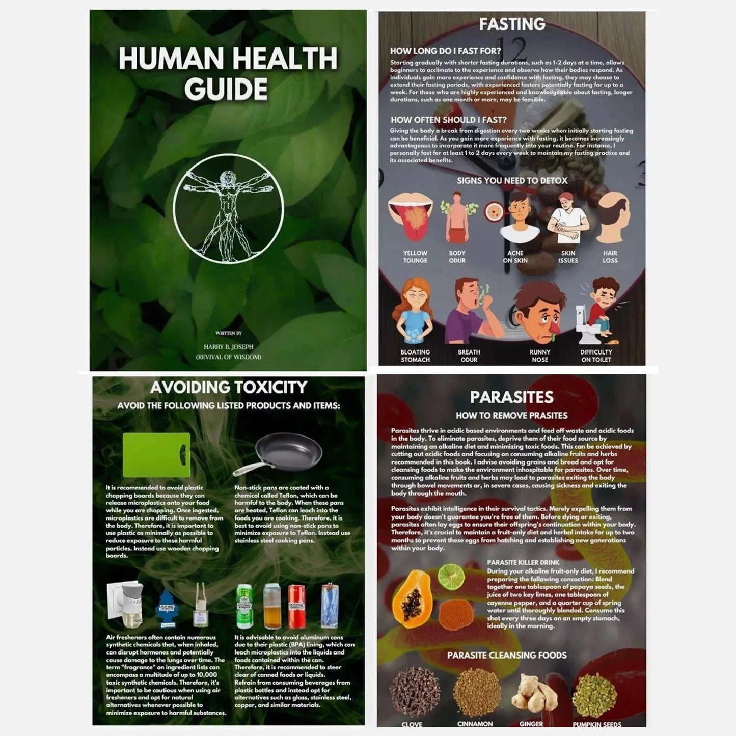 The Lumière Human Health Guide™ | Your Essential Wellness Handbook.